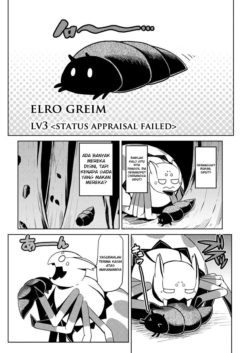 Kumo desu ga, Nani Ka?